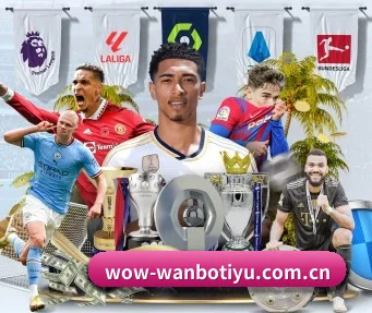 万博体育 APP(WANBOSPORTS)